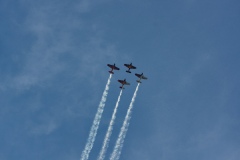 IMGP9975