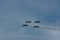 IMGP9992