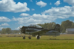 IMGP5881