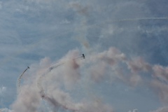 IMGP7649