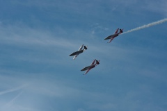 IMGP7674