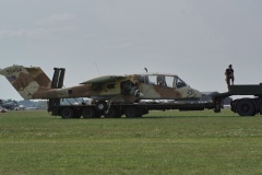 IMGP7675