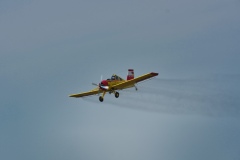 IMGP7695