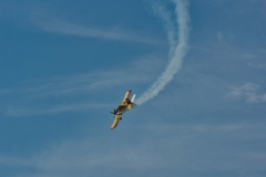 IMGP7698