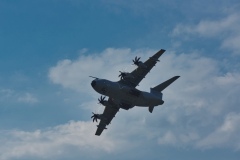 IMGP7725