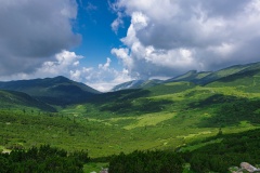 IMGP0340