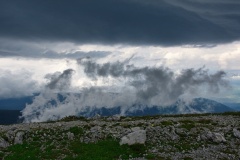 IMGP0434