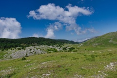 IMGP0500