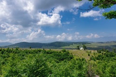 IMGP0563