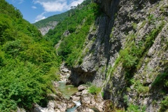 IMGP0654