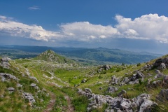 IMGP0845