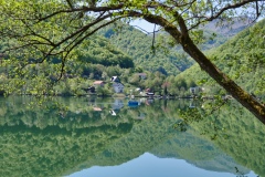 IMGP7358