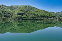 IMGP7360