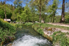 IMGP7364