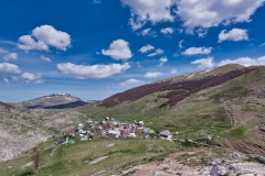 IMGP7448