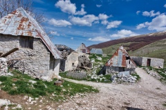 IMGP7458