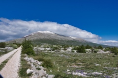 IMGP7571
