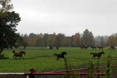 IMGP8414