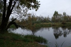 IMGP8422