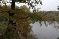IMGP8436