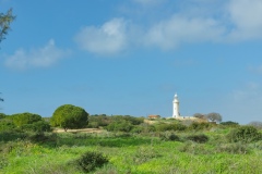 IMGP7001