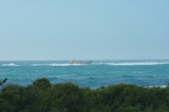 IMGP7019