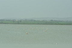 IMGP7104