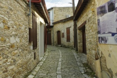 IMGP7119