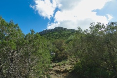IMGP7216