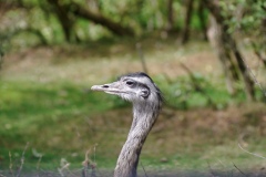 IMGP8244