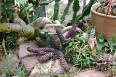 IMGP8026