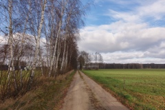 IMGP8904