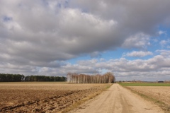 IMGP8913