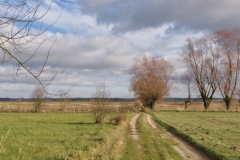 IMGP8914