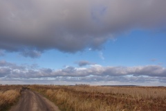 IMGP8930