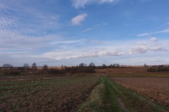 IMGP8944