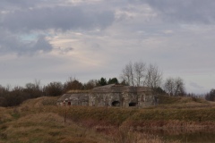 IMGP8953