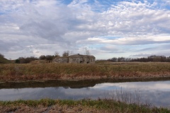 IMGP8954
