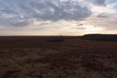 IMGP8963