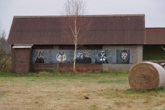 IMGP8986