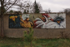 IMGP8987