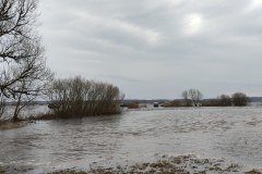IMG_20240224_17521119