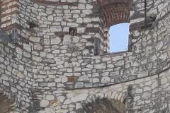 IMG20240502120954