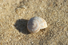 Grande Playas