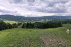 IMG_20260605_112254537