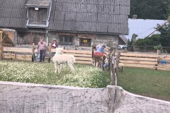IMG_20260605_112738836