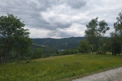 IMG_20260605_113643376