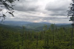 IMG_20260605_125152199