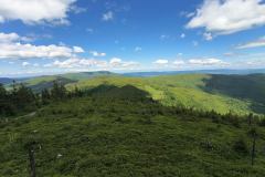 IMG_20260606_135339828