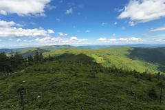 IMG_20260606_135341382